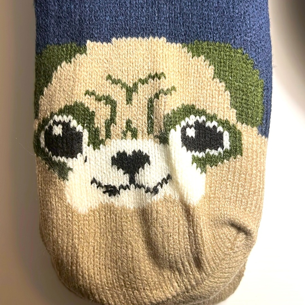 Lined pug socks